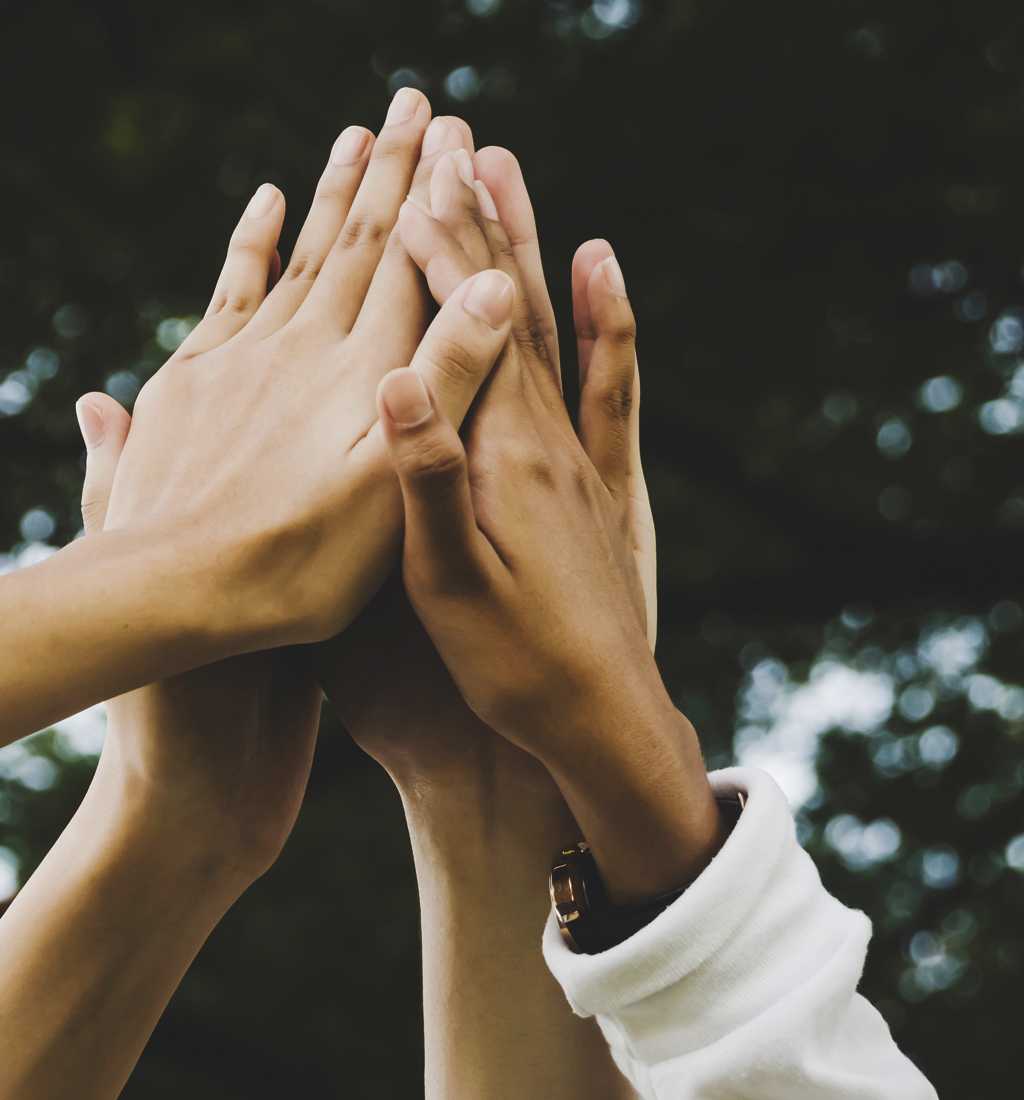 Group raising hands in the air.